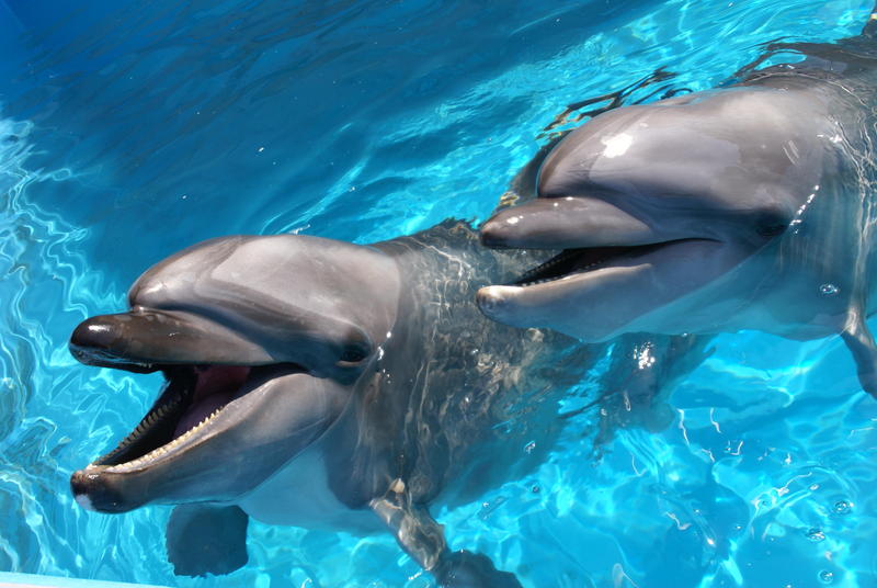 B 須磨海浜水族園.JPG