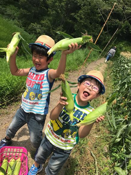 K 味覚狩り 記事.JPG