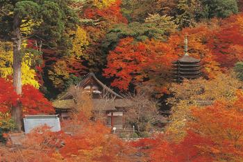 ②談山神社.jpg