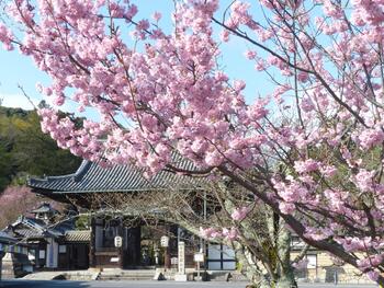 石山寺.jpg