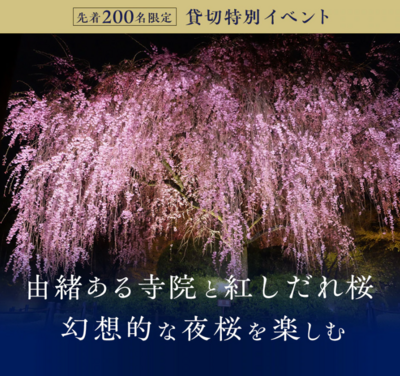 yozakura.pngのサムネイル画像