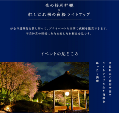 yozakura2.pngのサムネイル画像