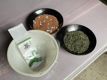 20260327小林芳香園.JPG