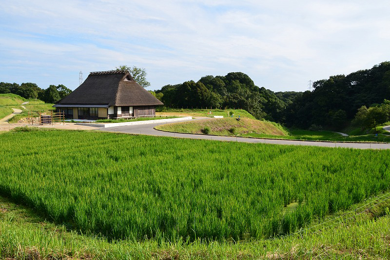 国営明石海峡公園 神戸地区 あいな里山公園