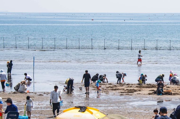 姫路市漁業協同組合 白浜支所 潮干狩り部会