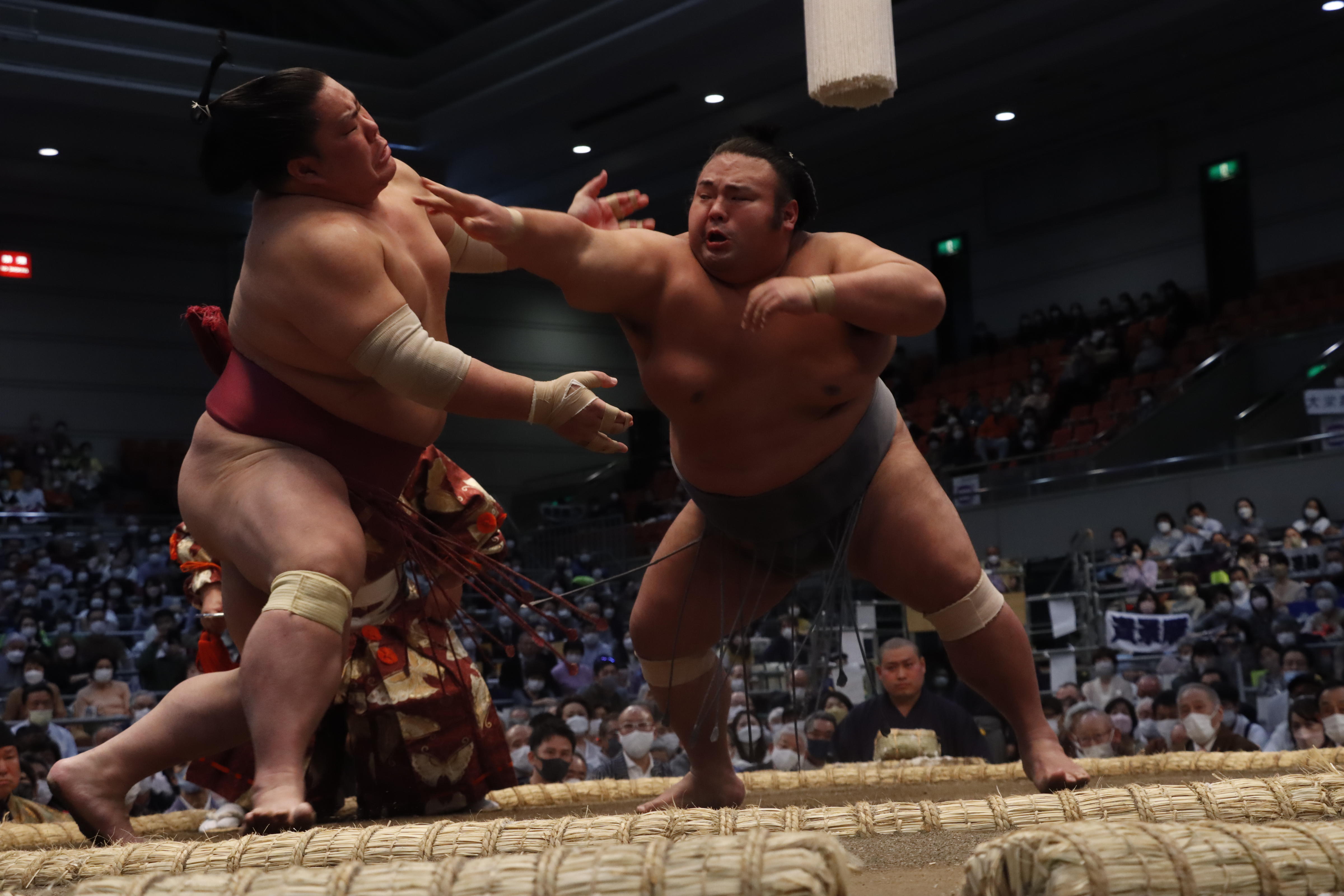 大相撲三月場所 あっせんのお知らせ｜お知らせ｜ハッピーパック
